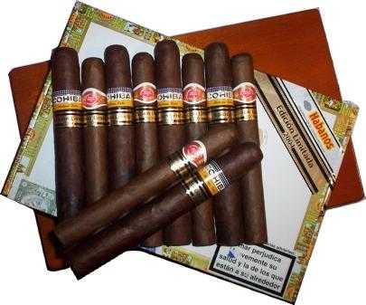 BEST 2004 EDICIN LIMITADA (10 CIGARS)