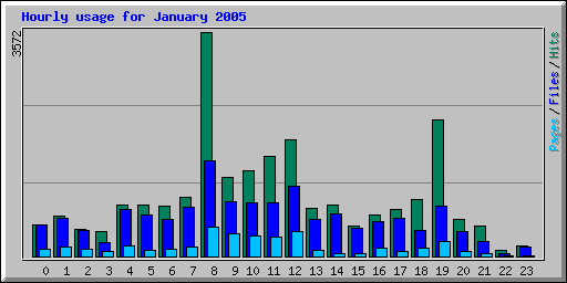 Hourly usage for January 2005
